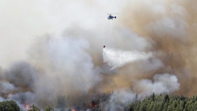 صورة تركيا.. السيطرة على 107 من أصل 112 من حرائق الغابات