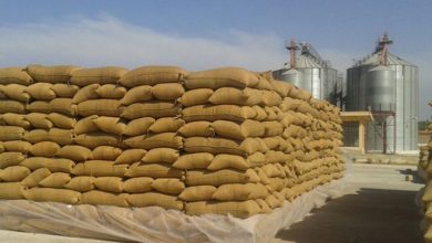 صورة قسد تتفق مع روسيا لاستيراد 100 ألف طن من القمح