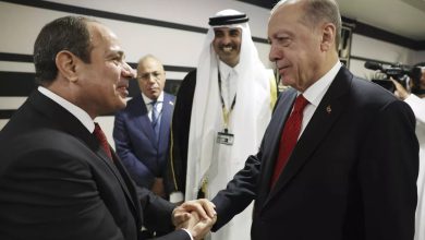 صورة جاويش أوغلو: لقاء قريب بين أردوغان والسيسي