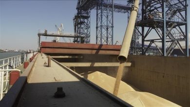 صورة تركيا: العمل على تمديد اتفاق تصدير الحبوب من موانئ البحر الأسود